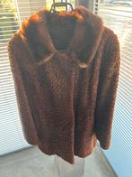 Bontjasje - Echt Bont, Ophalen of Verzenden, Gedragen, Bruin
