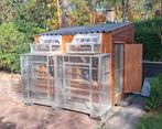 duivenhokken, Dieren en Toebehoren, Vogels | Hokken en Kooien, Ophalen of Verzenden, Nieuw, Hout, Vogelkooi