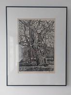 Herman Bieling - Houtsnede Bomen, Ophalen of Verzenden