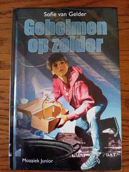 Sofie van Gelder - Geheimen op zolder, Boeken, Kinderboeken | Jeugd | onder 10 jaar, Zo goed als nieuw, Ophalen of Verzenden