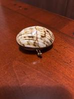 Vintage snuifdoos, pillendoos schelp., Antiek en Kunst, Ophalen of Verzenden