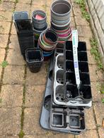 Plastic kweekpotjes - gratis af te halen, Tuin en Terras, Kweekspullen, Ophalen, Gebruikt, Kweekbak