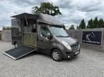 SUPER RENAULT MASTER ROELOFSEN PAARDENWAGEN 2014 HENGST 3XXL
