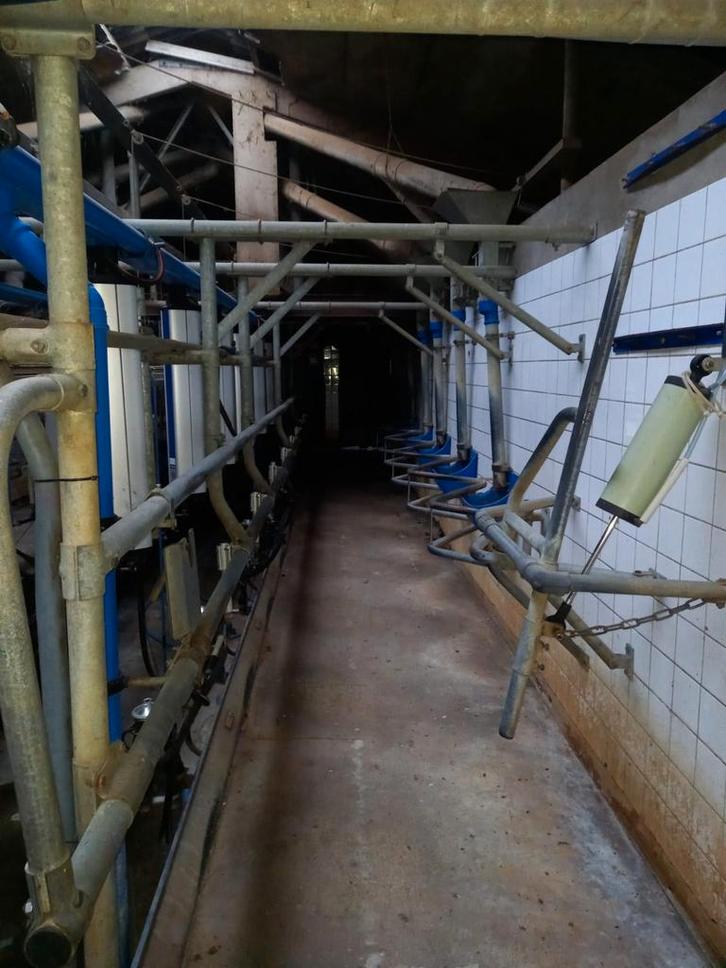 Delaval melkstal 2x8, Zakelijke goederen, Agrarisch | Werktuigen, Veehouderij, Melktechniek, Ophalen