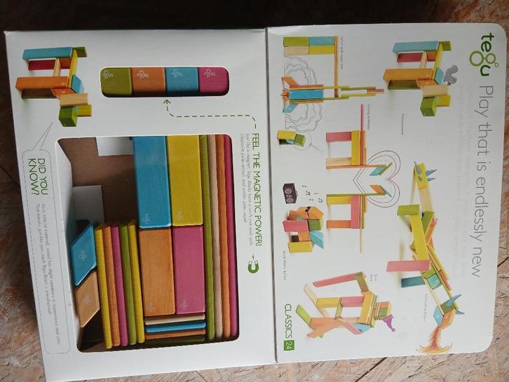 Tegu magnetisch speelgoed