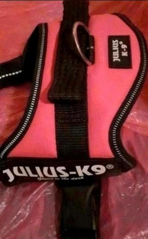 Julius K9 hondentuig XS/S, NonStop Klickfix, Trektuig NIEUW, Dieren en Toebehoren, Honden-accessoires, Zo goed als nieuw, Ophalen of Verzenden