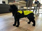 Regenjas hond, Ophalen of Verzenden, Zo goed als nieuw, Hondenregenjas
