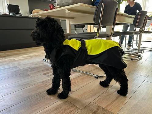 Regenjas hond, Dieren en Toebehoren, Hondenkleding, Zo goed als nieuw, Hondenregenjas, Ophalen of Verzenden