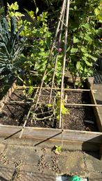 Moestuinbak, Minder dan 30 cm, 100 cm of meer, Rond, Ophalen of Verzenden