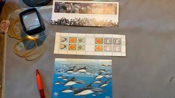 #110 Setje Guernsey Jersey beschikbaar voor biedingen