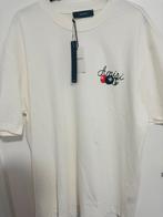 Merk T-shirts ( Amiri - Celine - Moncler), Kleding | Heren, Ophalen of Verzenden, Zo goed als nieuw