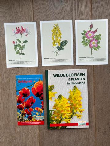 Wilde bloemen & planten in NL incl veldgids + 3 kaarten beschikbaar voor biedingen