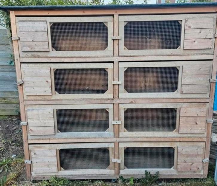 Konijnenflat 8 hokken, Dieren en Toebehoren, Knaagdieren en Konijnen | Hokken en Kooien, Hok, 90 cm of meer, 110 cm of meer, Cavia