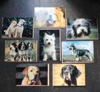 Esther Verhoef hondenkaarten ansichtkaarten, Verzamelen, Ansichtkaarten | Dieren, Ophalen of Verzenden, 1980 tot heden, Ongelopen