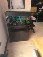 Mooie aquarium, Dieren en Toebehoren, Ophalen of Verzenden, Zo goed als nieuw, Leeg aquarium