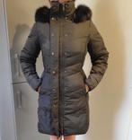 Donkere winterjas Hobbs, Zwart, Ophalen of Verzenden, Zo goed als nieuw, Hobbs