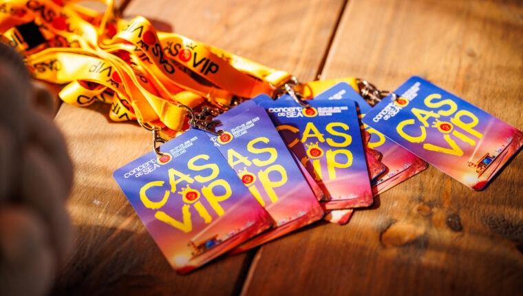 Gezocht: 2 x CAS VIP Concert at Sea Vip Tickets Zaterdag, Tickets en Kaartjes, Twee personen, Juni