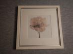 Witte prent van een bloem in lijst, Gebruikt, 50 tot 75 cm, Ophalen of Verzenden, Foto of Poster
