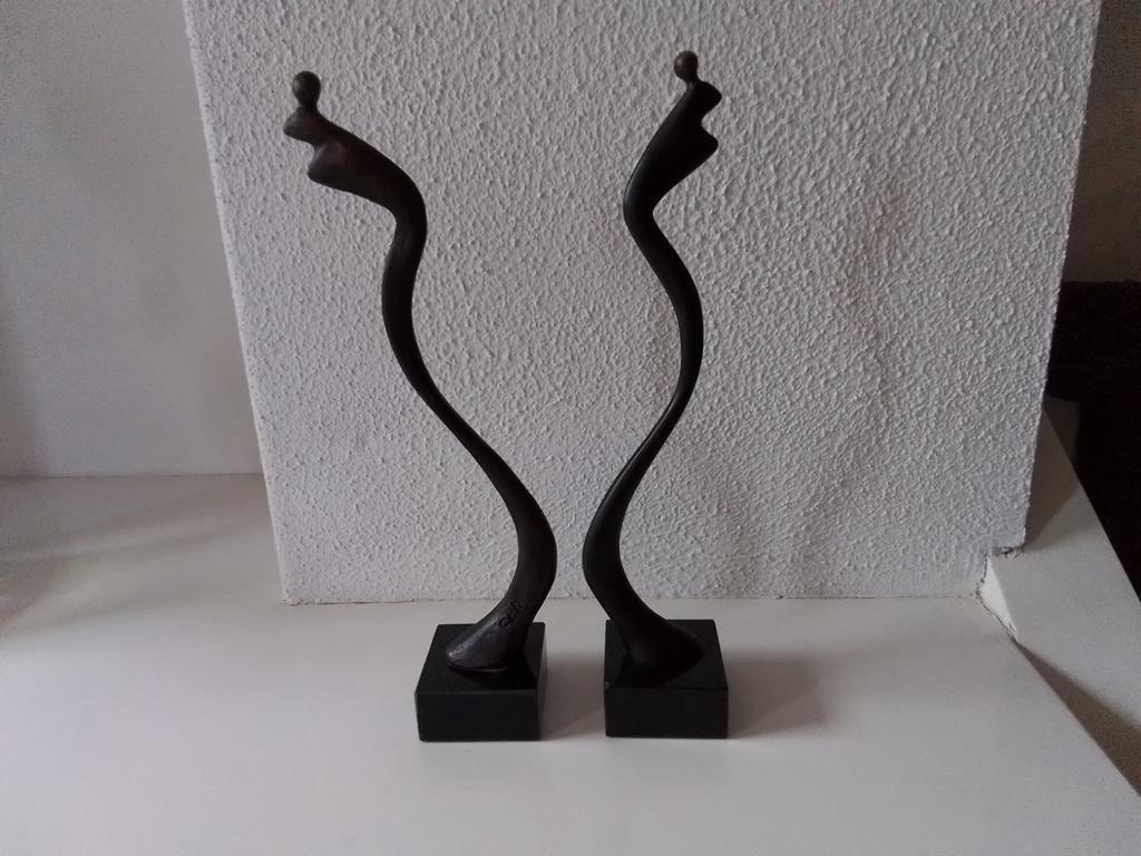 Corry van ammerlaan, Antiek en Kunst, Kunst | Designobjecten, Ophalen of Verzenden