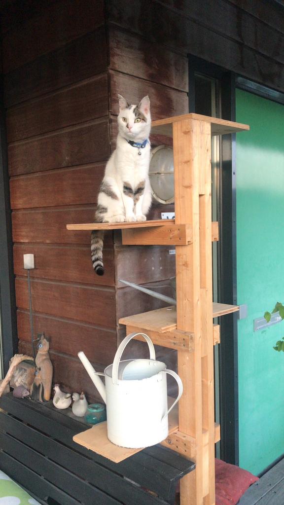 Hoge mooie kattenpaal verkocht!!!!, Dieren en Toebehoren, Katten-accessoires, Ophalen of Verzenden, Gebruikt