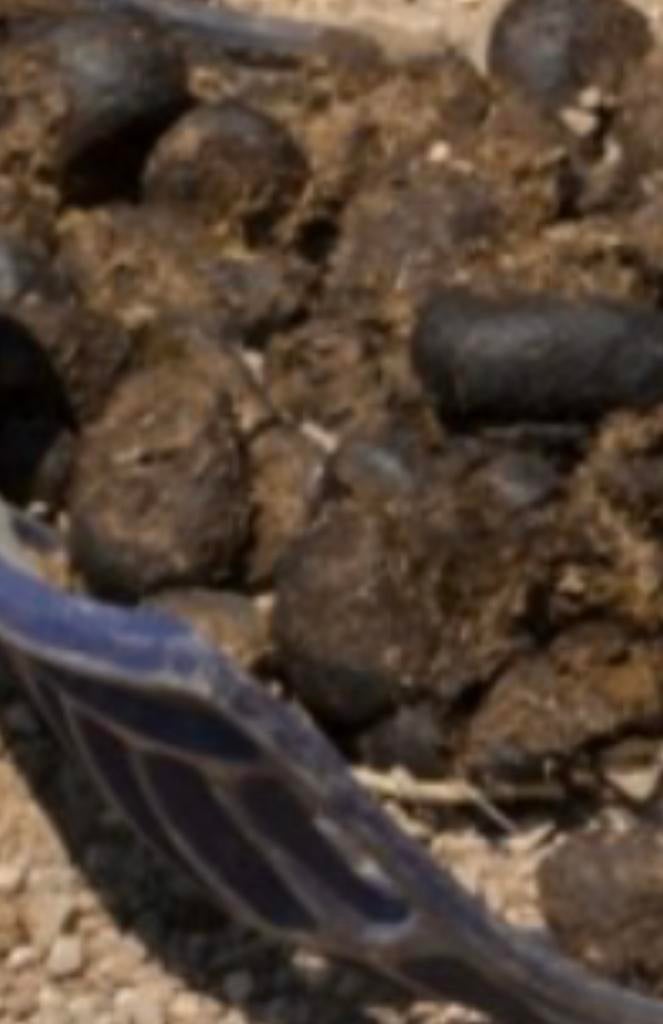 Paardenmest Gratis, Ophalen, Tuinaarde