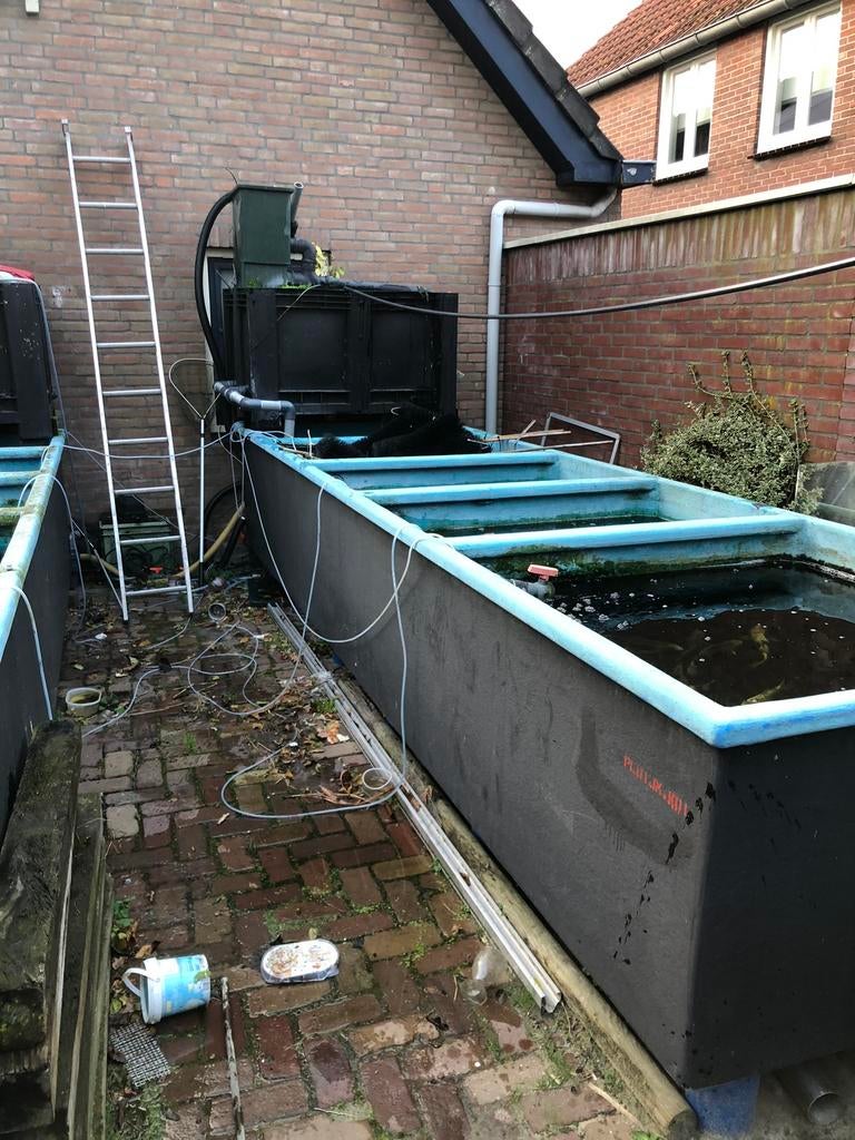 Grote quarantaine bak 1 x, Tuin en Terras, Ophalen of Verzenden, Zo goed als nieuw