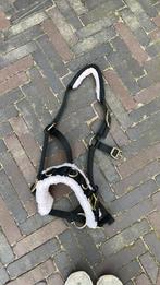 Verstelbaar longeer/work halster, Dieren en Toebehoren, Paarden en Pony's | Hoofdstellen en Tuigage, Ophalen of Verzenden, Zo goed als nieuw