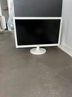 ASUS monitor, Computers en Software, Monitoren, Ophalen, Zo goed als nieuw, Ultra HD (4K), 60 Hz of minder