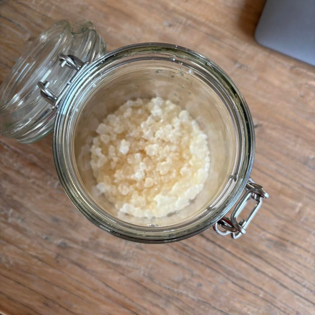 Waterkefir, Ophalen