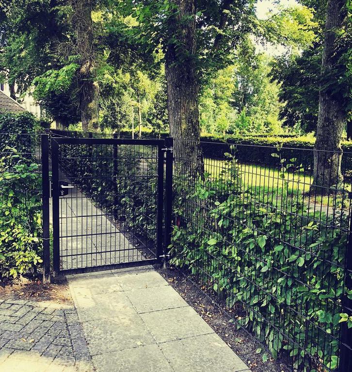 Dubbelstaafmat hekwerk met poort, Tuin en Terras, Tuinhekken en Hekwerk, Nieuw, Dubbelstaafmat hekwerk, IJzer, Met poort, Ophalen