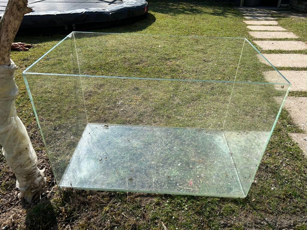 Glazen terrarium 60 bij 35 cm, Dieren en Toebehoren, Reptielen en Amfibieën | Toebehoren, Ophalen, Gebruikt, Terrarium of Paludarium