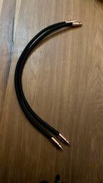 AudioQuest Black Beauty 60cm RCA, origineel, Ophalen of Verzenden, Zo goed als nieuw, Minder dan 2 meter, Interlink-kabel