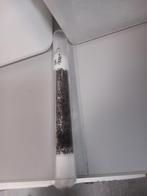 Monomorium subopacum 6q 1000+w | mieren ants mierenkolonie, Dieren en Toebehoren, Insecten en Spinnen, Mieren