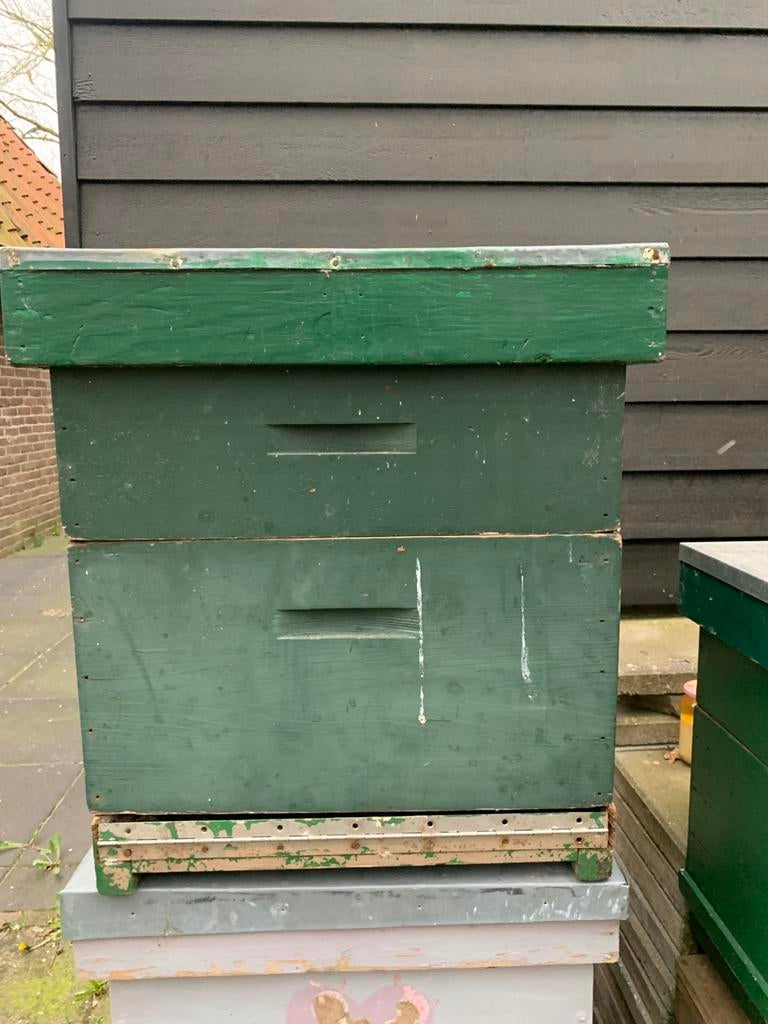 2e hands spaarkast, Dieren en Toebehoren, Insecten en Spinnen, Bijen