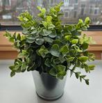 Kunstplant buxus in silveren potje NIEUW, Huis en Inrichting, Ophalen, Binnen, Groen, Onderhoudsvrij