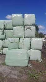 Grote balen voordroog hooi, Dieren en Toebehoren, Ophalen, Vee