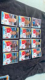 12 x Panini 93 feyenoord, Ophalen of Verzenden, Zo goed als nieuw, Plaatje
