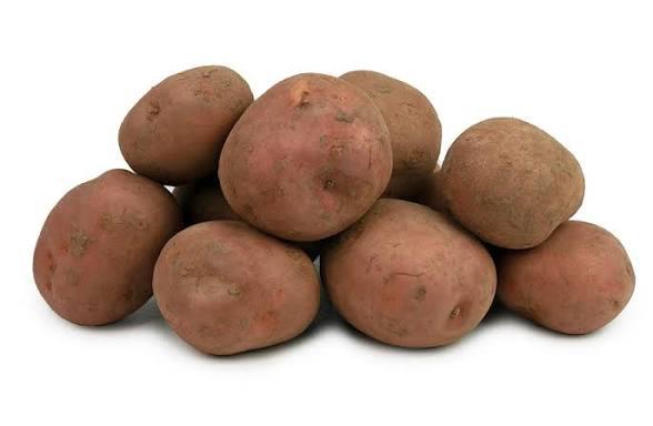 Bildtstar pootgoed, Tuin en Terras, Ophalen, Voorjaar, Volle zon, Knol