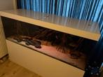 Van Wolferen aquarium 2 meter (200x70x70), Dieren en Toebehoren, Vissen | Aquaria en Toebehoren, Ophalen, Zo goed als nieuw, Leeg aquarium