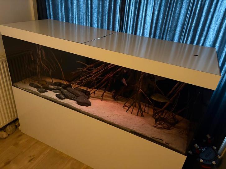 Van Wolferen aquarium 2 meter (200x70x70), Dieren en Toebehoren, Vissen | Aquaria en Toebehoren, Zo goed als nieuw, Leeg aquarium
