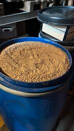 Tarwe Zaai graan korrel, Ophalen, Vee