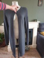 Anna lange cardigan vest vestje M 38 40, Maat 38/40 (M), Grijs, Gedragen, Anna