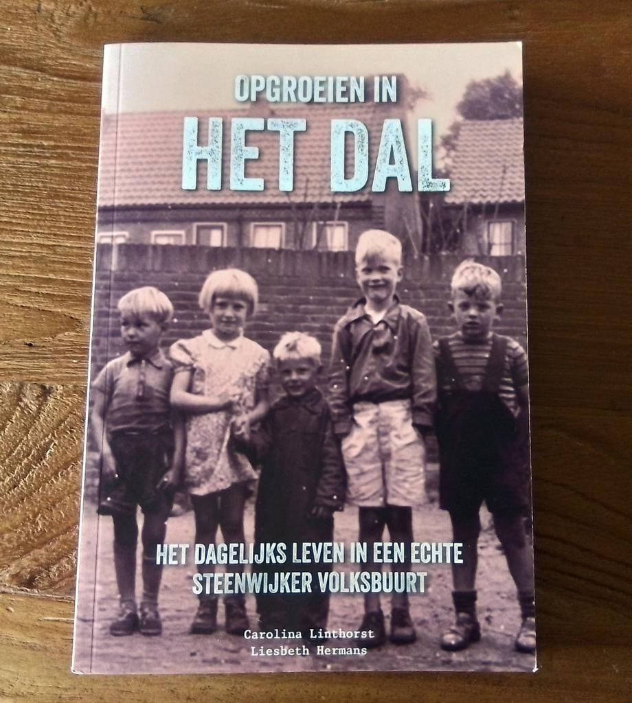 Opgroeien in het dal  Steenwijk., Ophalen of Verzenden, Zo goed als nieuw, Overige