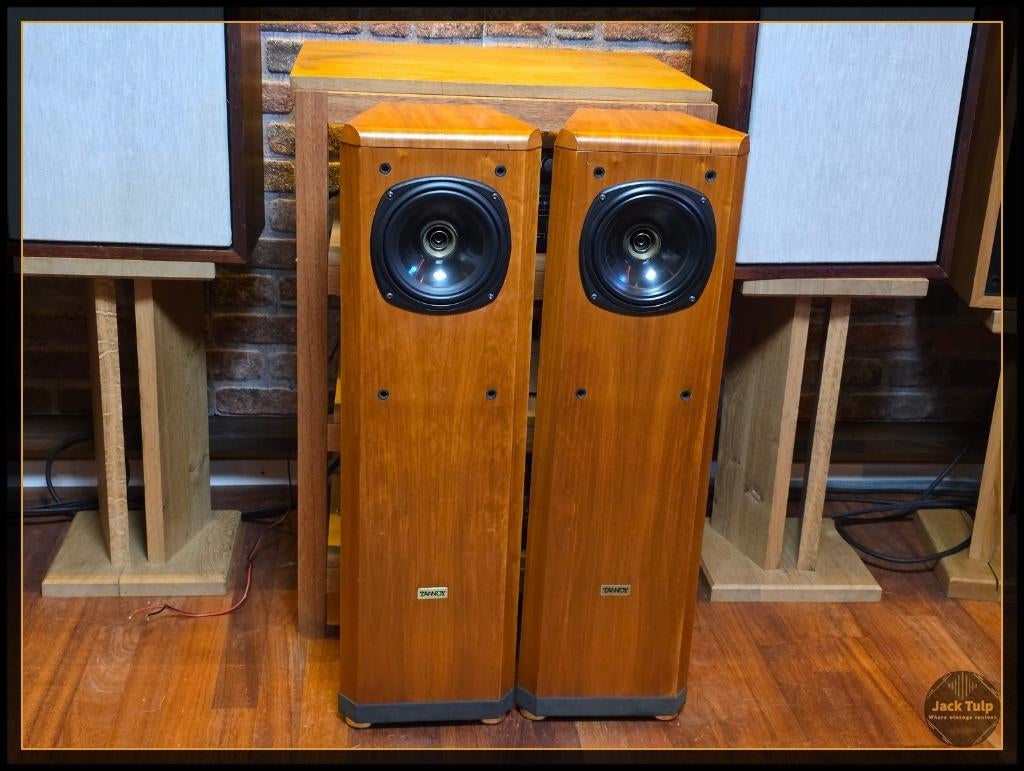 Tannoy D300, Audio, Tv en Foto, Luidsprekers, Gebruikt, Front, Rear of Stereo speakers, 60 tot 120 watt, Overige merken, Ophalen