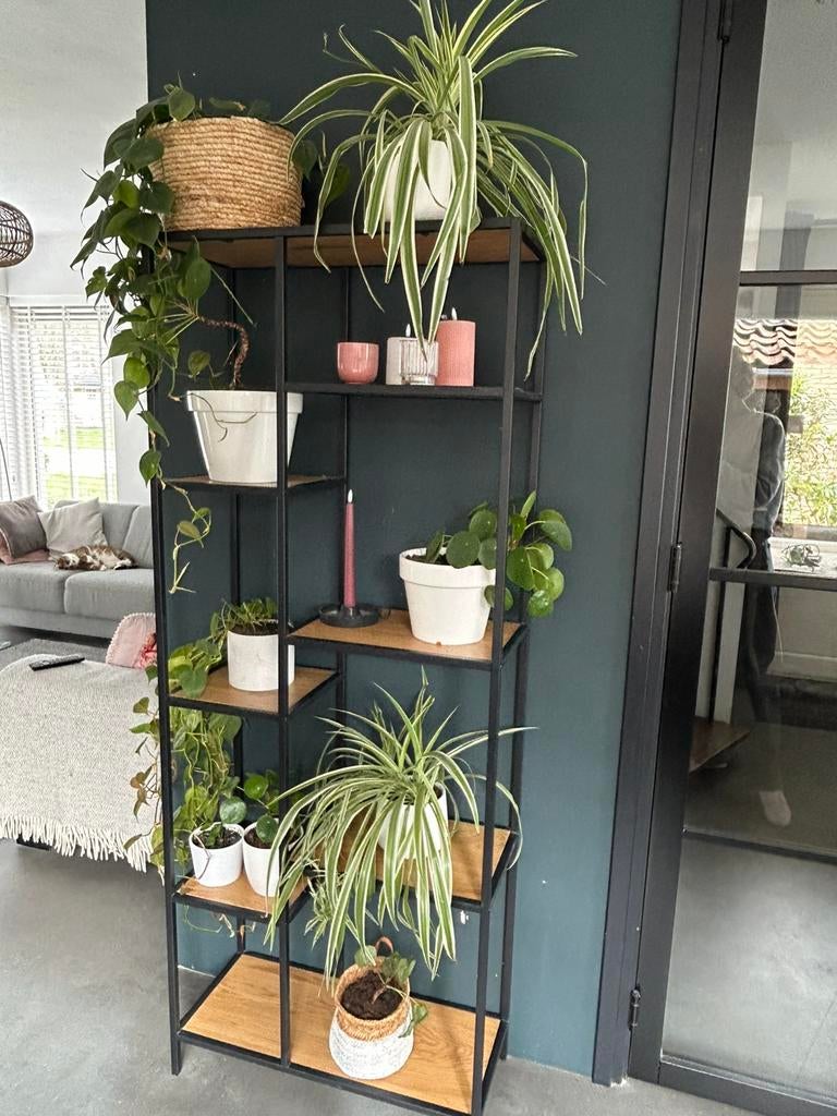 Boekenkast/room divider, Huis en Inrichting, Ophalen, 50 tot 100 cm, Zo goed als nieuw, 150 tot 200 cm