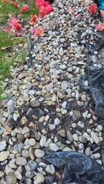 Sier grind, Ophalen, Gebruikt