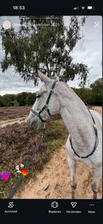 Bybaukje multifunctionele kaptoom, Ophalen of Verzenden, Zo goed als nieuw