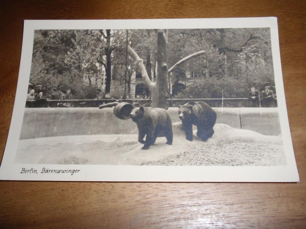 Berlijn Berlin Beer Duitsland, Verzenden, 1940 tot 1960, Ongelopen, Duitsland