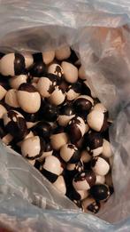 Zwart-witte bonen - Unieke tweekleurige zaden, stokboon, Ophalen of Verzenden, Voorjaar, Volle zon, Zaad