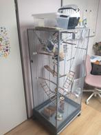 rattenkooi of vogelkooi, Dieren en Toebehoren, Ophalen, Kooi, Gebruikt, 90 cm of meer